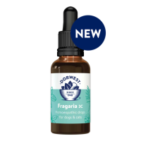 Dorwest Herb Fragaria 3C Liquid 15ml